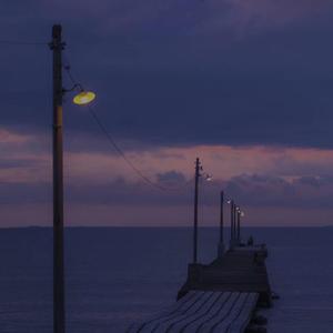 法国大鸡巴日逼

