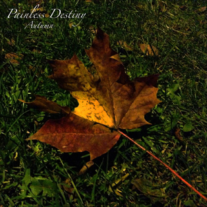 法国大鸡巴日逼
